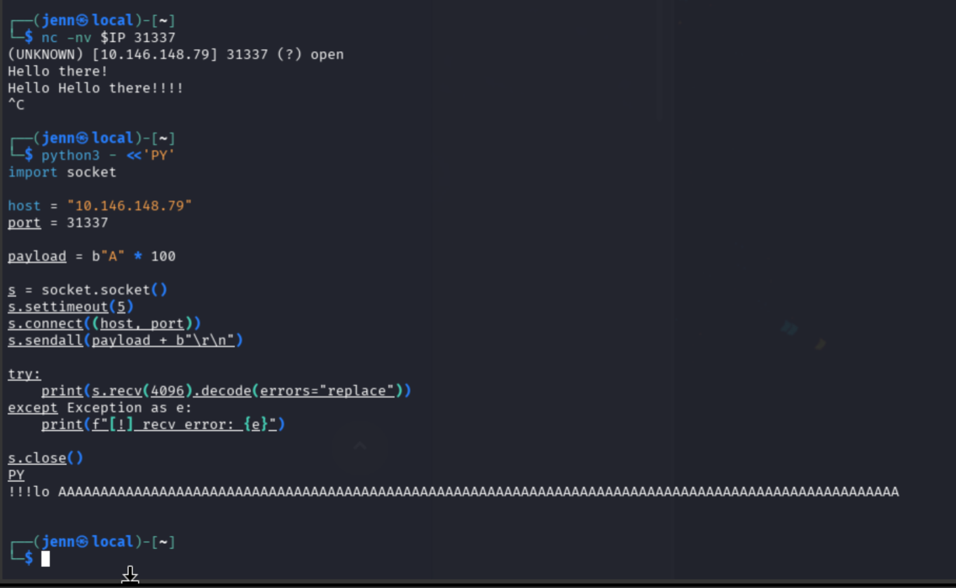 100-byte fuzzing test response, service survives with mangled prefix